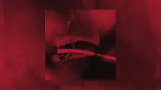 Amanati - Hedone - Official Audio