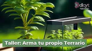 Taller: Arma tu propio Terrario