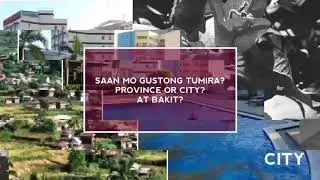 Question #7 (Province or City)