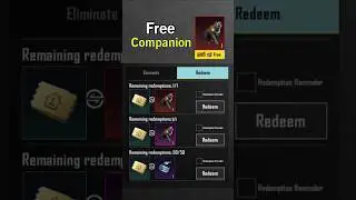 Free 😱 Black Panther Leopard  Companion