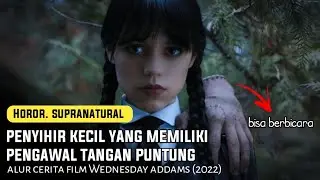 PENYIHIR KECIL YANG SANGAT PENDIAM  !!! | alur cerita film Sutar official