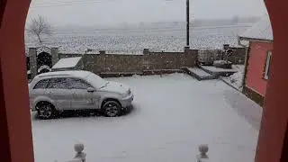 ningee