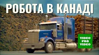Канадський роботодавець J.D.Irving, Ltd. запрошує на роботу. New Brunswick