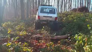 Турбо Нива  в лесу