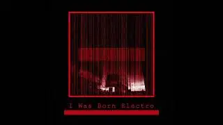 Djarmee - I Was Born Electro (Fille de Minuit Remix)