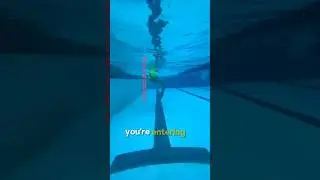 What your arm should look like in the water for freestyle 