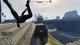 Nice kill;)                        GTA5