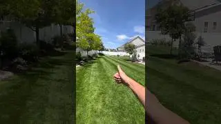 Check out Petra’s Fathers Day sale. Link in video description. #garden #lawn #lawnlife #lawncare