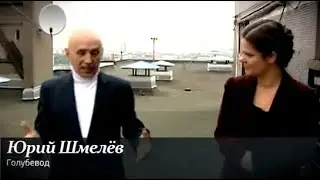 Москва и голуби (Канал 24, архив)