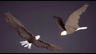 Low Poly Bird: Bald Eagle (Stylized Character for Unreal Engine & Unity)