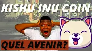 KISHU INU COIN QUELLES SONT LES NOUVELLES?