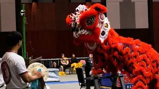 USDLDF National Dragon and Lion Dance Championships 2023 Austin Texas- mua lan 4K
