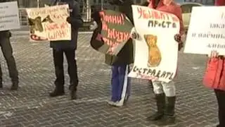 ''зоо''защитники-псинобесы