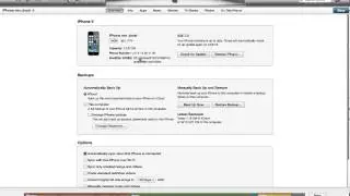 How do I find the UDID of my iPhone?