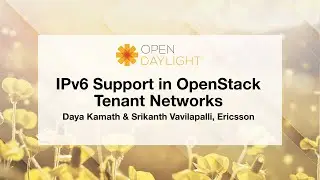 IPv6 Support in OpenStack Tenant Networks