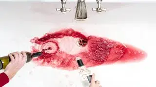 Como dejé de beber