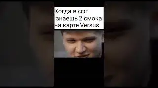 Мем про SFG 