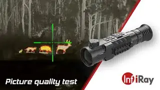 Thermal Imaging Sight InfiRay  RH50 - Rico Series - Review