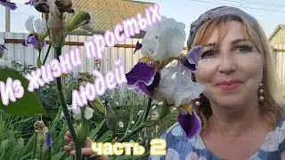 Влог/Бьемся на огороде/Мама насмешила/ Папа схитрил/ Купить овощи можно, но кто бурьян косить будет!