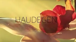 HAUDEGEN - WILDE ORCHIDEEN (DAS OFFIZIELLE VIDEO)