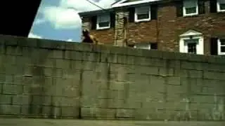 taco skateboarding