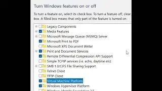 Enable Windows Features to run Windows of Linux system ( WSL )
