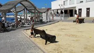 Севастополь парк ахматовой, парки 2019, парк анны ахматовой в севастополе, пляжи крыма, лучшие пляжи