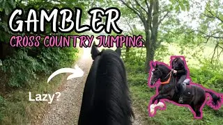 TACK UP & RIDE WITH ME | HACKING ROUND THE CROSS COUNTRY COURSE | GOPRO