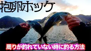 【抱卵ホッケ】積丹方面ホッケ開幕！周りが釣れていなくても釣れた方法とは？【ジグサビキ】