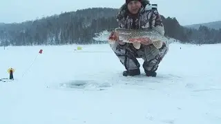 ЗИМНЯЯ РЫБАЛКА НА ЩУКУ И НАЛИМА. ЖЕРЛИЦЫ. ЛУЧШЕЕ