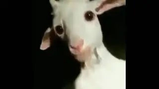gerçek hayatta undertale
