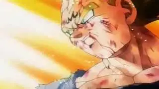Dragon Ball Z - Lost In The Echo [HD]