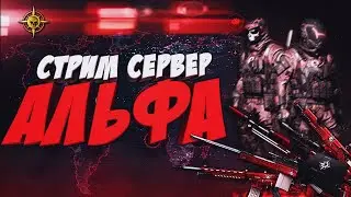 Warface стрим / Сервер-Альфа / Топовый стрим