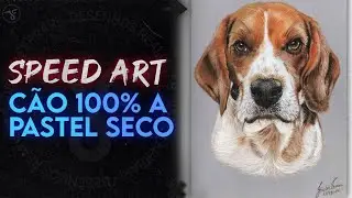 Pintando um Desenho Realista 100% a Pastel Seco - Módulo de Pets do Curso