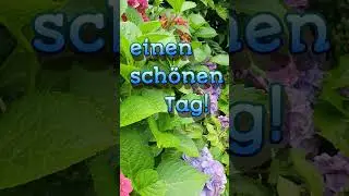Ich wünsche dir einen schönen Tag
