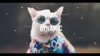 Dynamic Stylish Slideshow