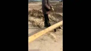 Трубы увозят не известно кто и не известно куда... Подлесное