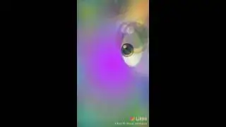 Маленькая слоумошка💗😹