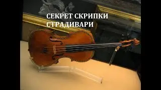 Секрет Скрипки Страдивари.