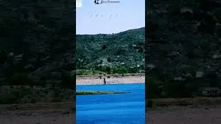 Udaipur 😍😍#shorts #shortvideo #viral #udaipur #viws #love #explore #nature #morning  #youtubeshorts