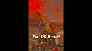Fireblight Ganon fight at 2400% speed