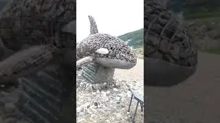 Светлана Сурганова: прогулка по Магадану (29.06.2019)