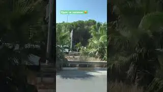#покупки
