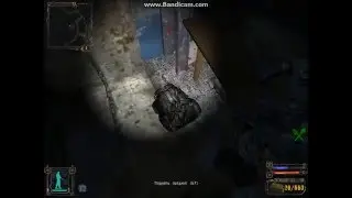 Тайник Стрелка в Stalker