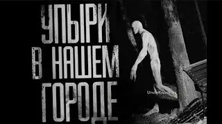 УПЫРИ В НАШЕМ ГОРОДЕ