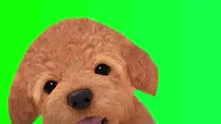 Nintendog Assist Trophy Super Smash Bros Ultimate Green Screen