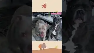 😂🥰 😘