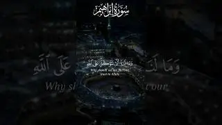 Quran Recitation #shorts #islamic_video #quran