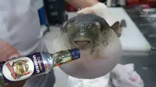 Рыба фугу пьёт водку