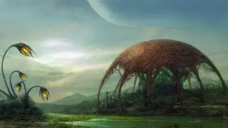 Elite Dangerous Odyssey. Поиск колонии бактерий.